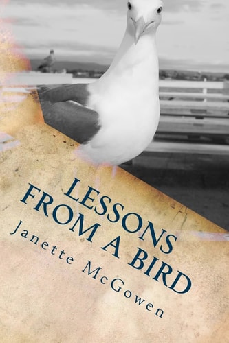 Lessons From A Bird ...and Other Life Reflections