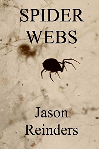 Spider Webs