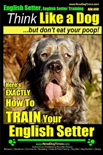 English Setter, English Setter Training AAA AKC Think Like a Dog, But Don't Eat Your Poop! English Setter Breed Expert Training Here's EXACTLY How to Train Your English Setter