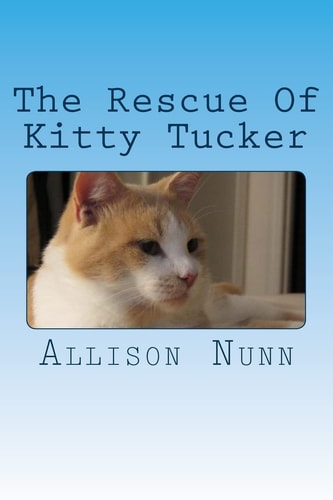 The Rescue Of Kitty Tucker A Brave Lost Kitty Finds A New Home