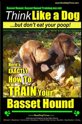 Basset Hound, Basset Hound Training AAA AKC Think Like a Dog, But Don't Eat Your Poop! Basset Hound Breed Expert Training: Here's EXACTLY How To TRAIN Your Basset Hound