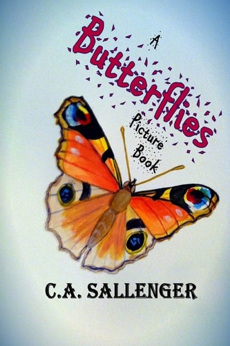 A Butterflies Picture Book