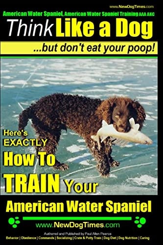 American Water Spaniel, American Water Spaniel Training AAA AKC Think Like a Dog, But Don't Eat Your Poop! American Water Spaniel Breed Expert Training: Here's EXACTLY How To TRAIN Your American Water Spaniel