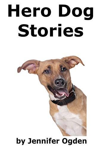 Hero Dog Stories 16 Amazing Tales of Love and Courage