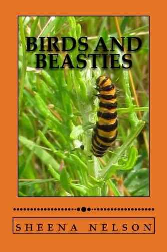 Birds and Beasties A Photo Book of Birds and Other Creatures