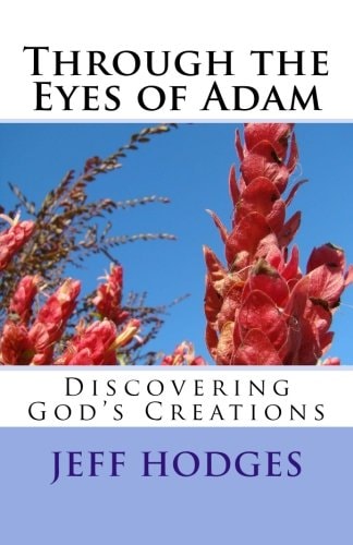 Through the Eyes of Adam Discovering God's Creations