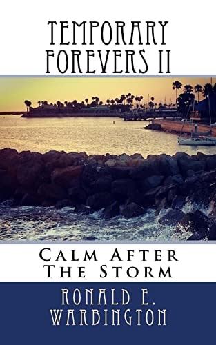 Temporary Forevers II Calm After The Storm