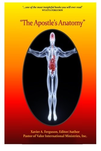 Apostle's Anatomy