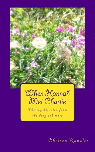 When Hannah Met Charlie The Top 16 Tales from the Blog and More on Hannah and Charlie's Tumultuous Love Lives