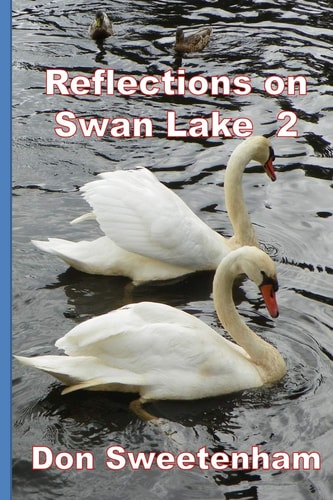 Reflections On Swan Lake 2