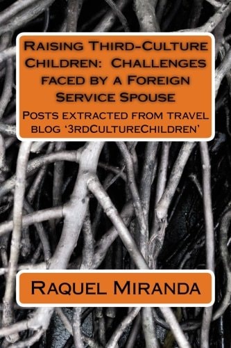 Raising Third-Culture Children - Challenges Faced by a Foreign Service Spouse Thoughts Extracted from Travel Blog '3rdCultureChildren'