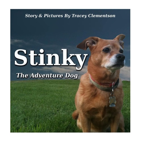 Stinky The Adventure Dog