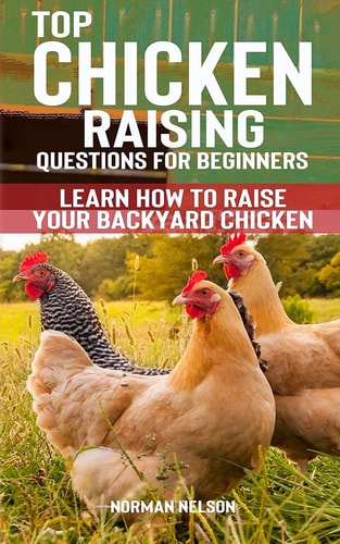 Top Chicken Raising Questions for Beginners Learn How To Raise Your Backyard Chicken