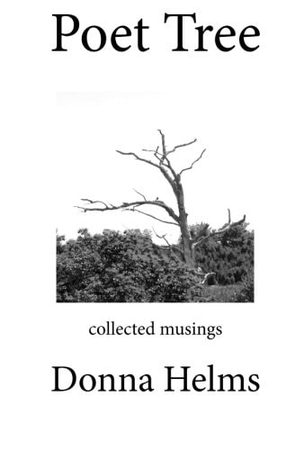 Poet Tree Collected Musings