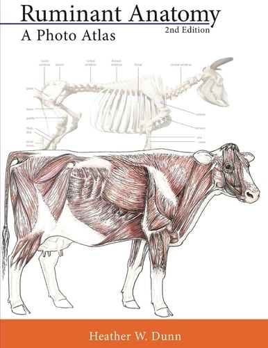 Ruminant Anatomy A Photo Atlas