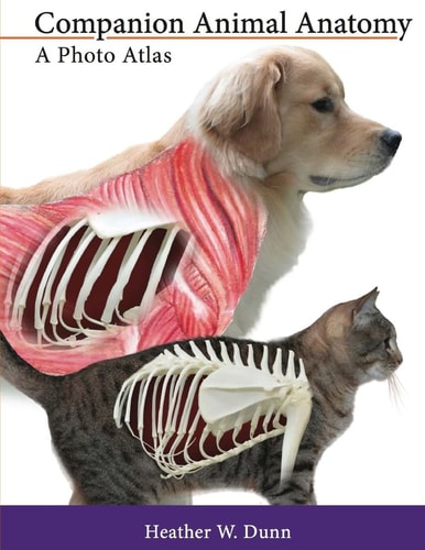 Companion Animal Anatomy A Photo Atlas