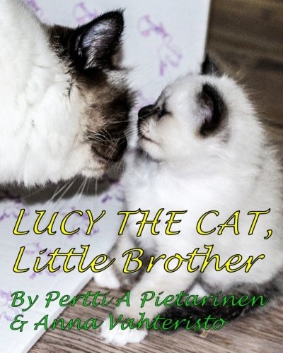 Lucy The Cat Little Brother
