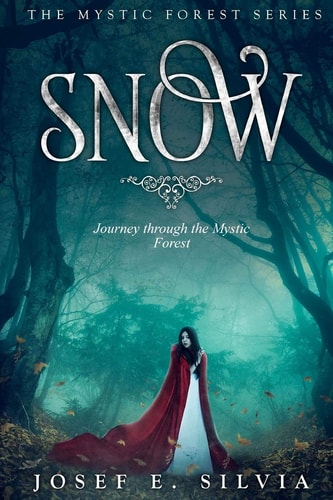 Snow Journey Through the Mystic Forest