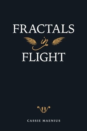 Fractals In Flight