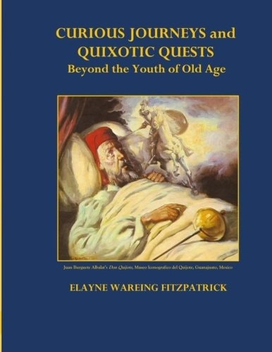 Curious Journeys and Quixotic Quests Beyond the Youth of Old Age Black and White Edition