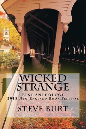 Wicked Strange 13 Tales from Bram Stoker Award Winner Steve Burt