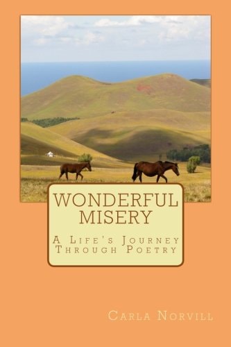 Wonderful Misery A Life's Journey Through Poetry
