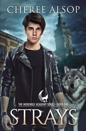 Werewolf Academy Book 1 Strays: Strays