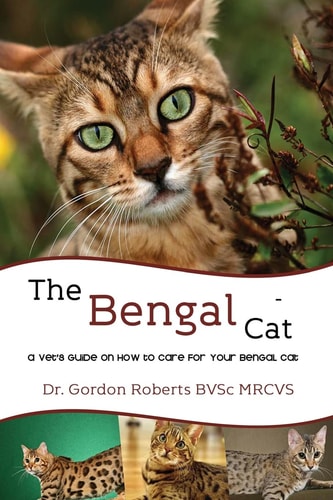 The Bengal Cat