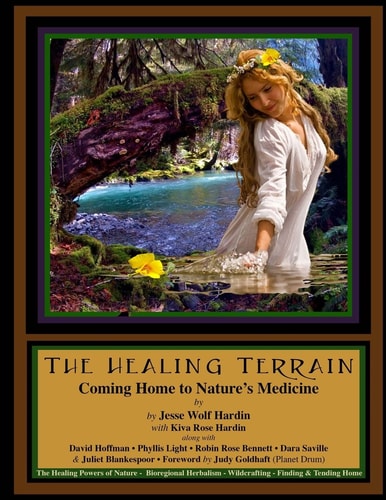 The Healing Terrain Coming Home To Nature's Medicine