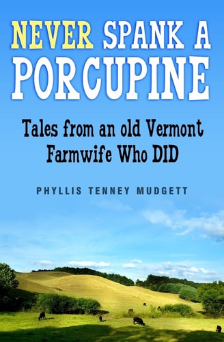 Never Spank a Porcupine