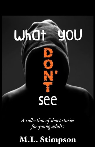 What You Don't See A Collection of Short Stories for Young Adults