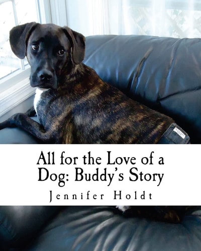 All for the Love of a Dog Buddy's Story
