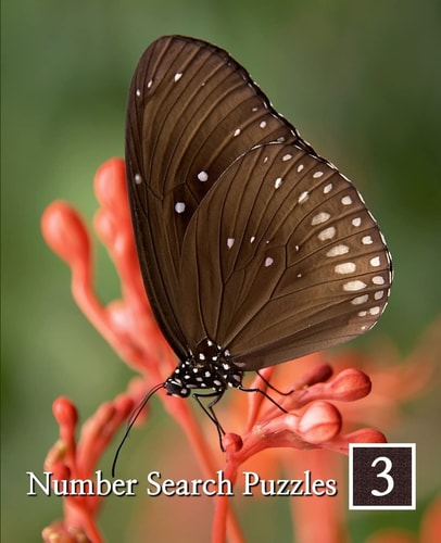 Number Search Puzzles 3 100 Elegant Puzzles in Large Print
