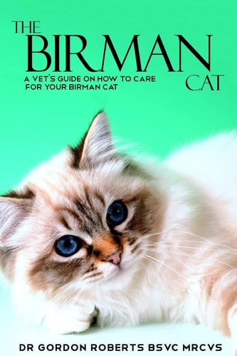 The Birman Cat A Vet's Guide on How to Care from Your Birman Cat