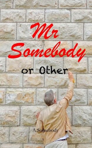 Mr Somebody Or Other A Journey - a Dream - an Idiot. Laugh Out Loud Feel Good Memoirs of an Everyday Man Who Is Nobody Else's Fool
