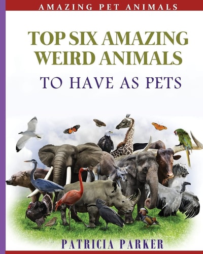 Top Six Amazing Weird Animals To Have As Pets