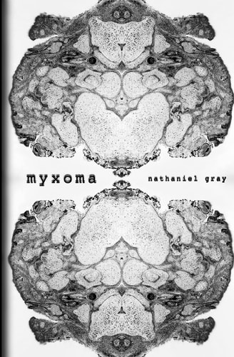 Myxoma