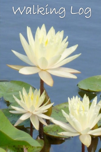 Walking Log Lily