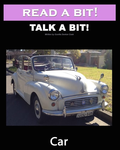 Read a Bit! Talk a Bit! Car Alzheimer's Dementia Activity Book