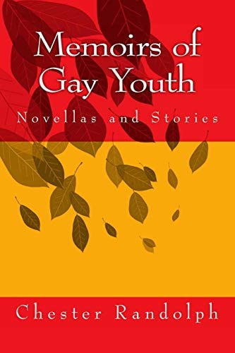 Memoirs of Gay Youth Novellas and Stories