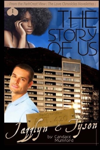 The Story Of Us ParkCrest View- The Love Chronicles Book 6