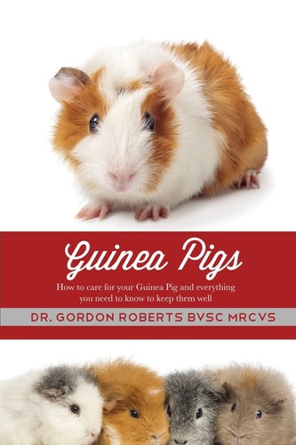 Guinea Pigs How to Care for Your Guinea Pig and Everything You Need to Know to Keep Them Well