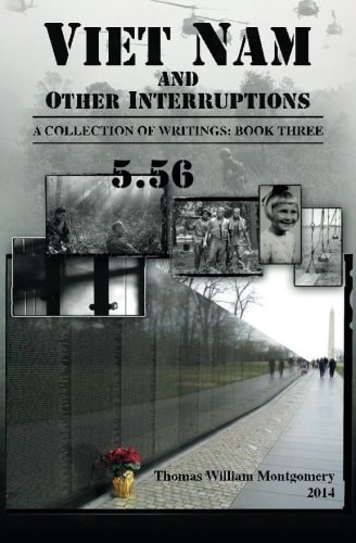 Viet Nam and Other Interruptions A Collection of Writings