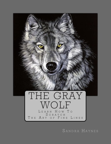 The Gray Wolf Learn How To Scratch