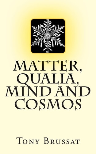 Matter, Qualia, Mind and Cosmos