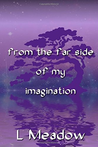 From The Far Side Of My Imagination