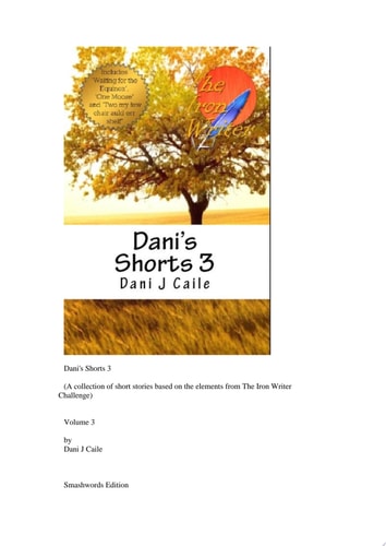 Dani's Shorts 3