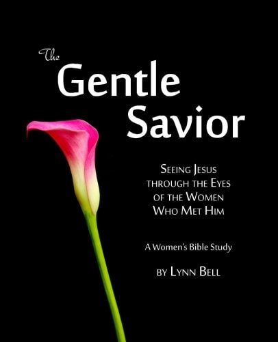 The Gentle Savior Seeing Jesus Through the Eyes of the Women Who Met Him