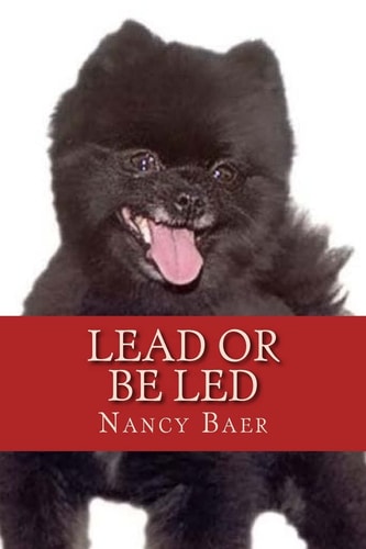 Lead Or Be Led Improve Your Realationship Wtih Your Pet