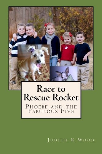 Race to Rescue Rocket